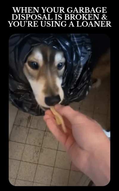FDA Approved Garbage Disposal System