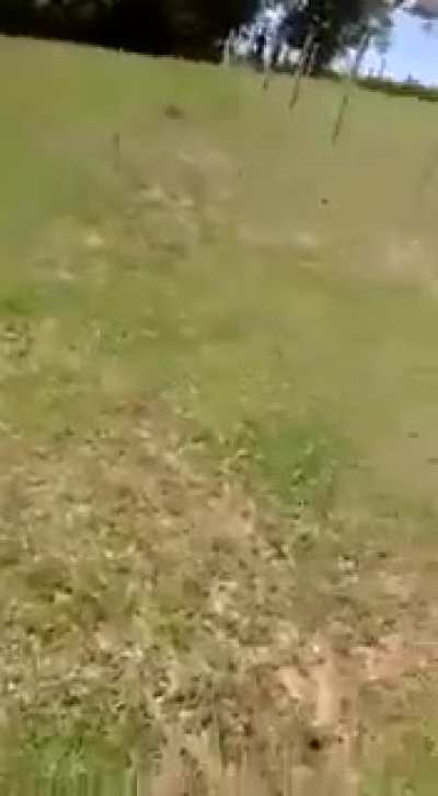 S&oacute; a lapada