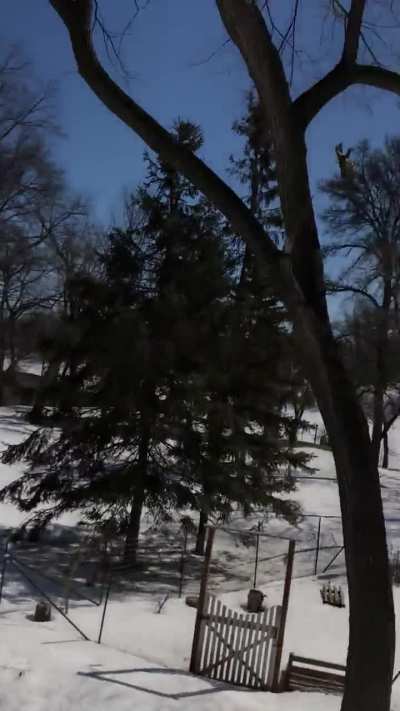 Maybe maybe maybe 