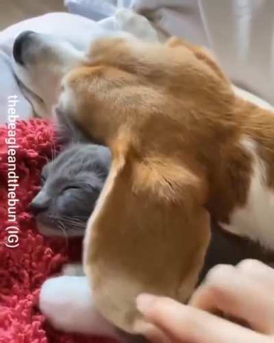 Тёплое одеяльце