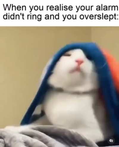 me irl