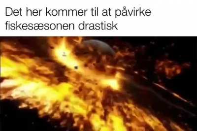 Fuck dine fisk