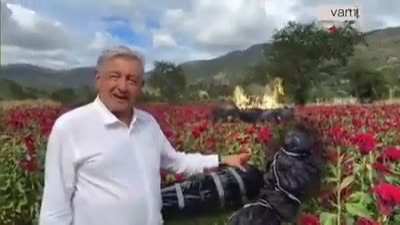 La mejor época