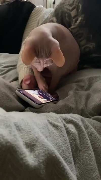 "Let's see what's trending."