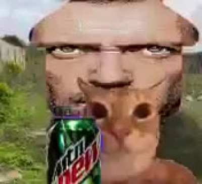 I don&rsquo;t even know how to describe this