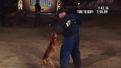 WHY Pits don't make good Police Dogs. K9 Takedown Challenge segment: Belgian Malinois Takedown and Recall VS Pitbull Takedown and "recall".