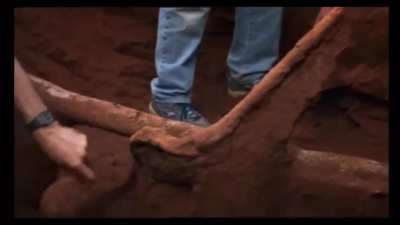 Over the course of 3 days scientists pumped 10 tons of cement into an abandoned ant hill. After weeks of digging, the colony’s intricate & impressive structure is revealed.