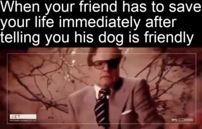 And I think it&rsquo;s gonna be a long long time till I trust someone about their dog