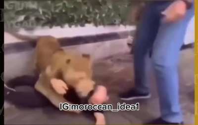 It&acirc;s just a prank bro. The prank: