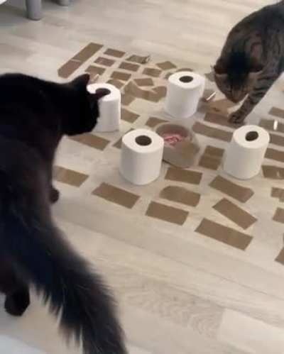 Maze