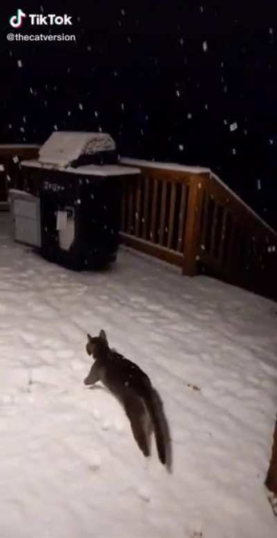 Playing in the snow