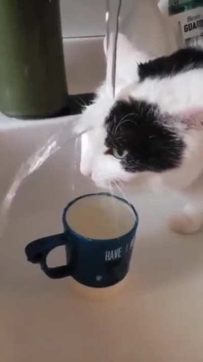 a strange way to quench your thirst