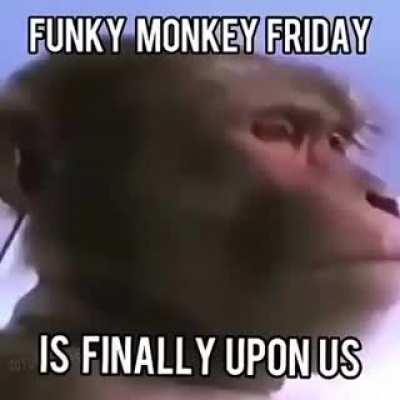 Must i say more