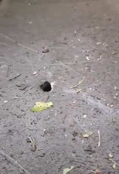 Ukrainian soldiers inspecting an aftermath M30A1 alternative warheads shot by HIMARS/M270 with thousands of tungsten fragments on Russian R-149MA1 command and staff vehicle.