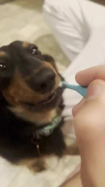 He&rsquo;s a big fan of clean teeth