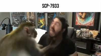 Mmm... monke