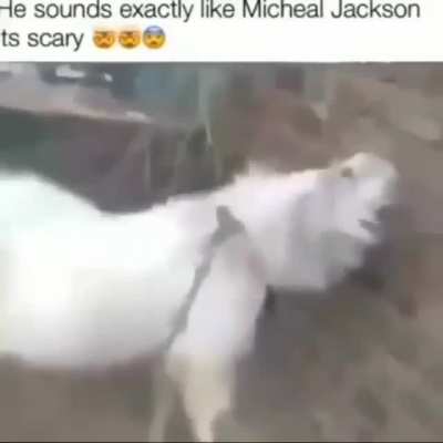 😨