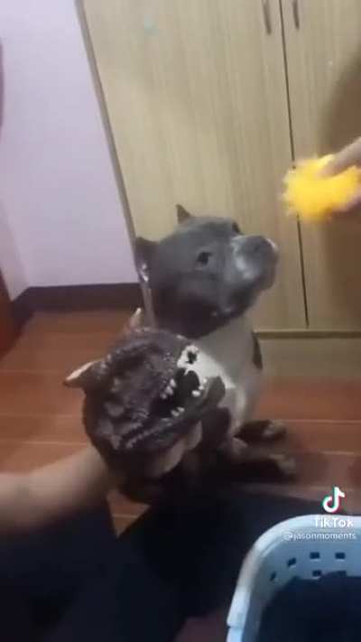 hmm