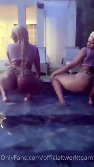 twerksum lady l