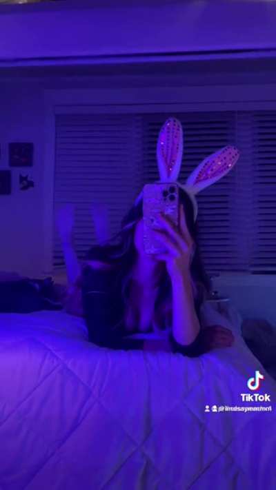 Bunny 🐰