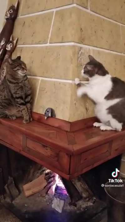 Nothing to see here