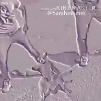 era unknown; genre Russian rap I guess