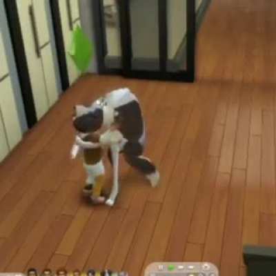 Hugging your virtual dog