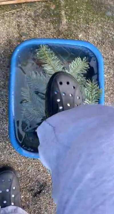 Thats what i get for being curious