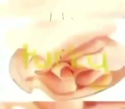 Slorp