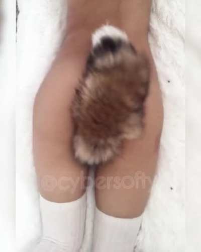 i'll be your kitten, your fox, or anything else you want me to be!