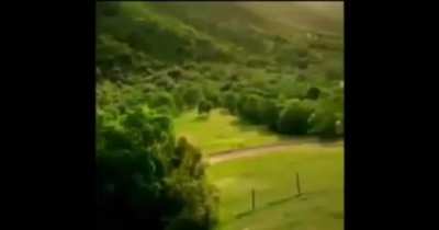 &lrm; &lrm; &lrm; &lrm; &lrm;