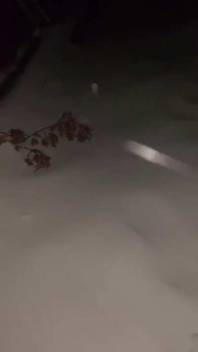 Kicking snow at night