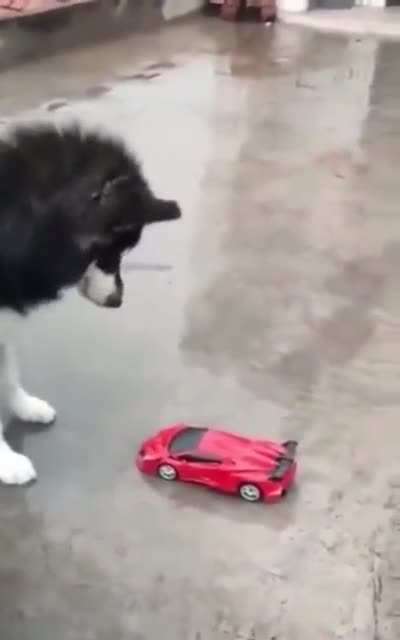 Maybe Maybe Maybe