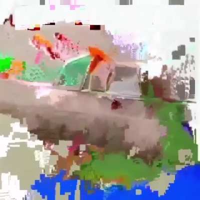 Stick bugged