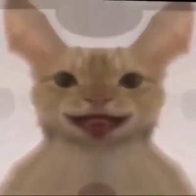 D: