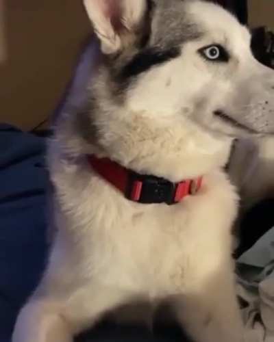Don&rsquo;t make eye contact. Don&rsquo;t make eye contact. Don&rsquo;t make eye contact