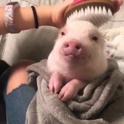 Awww