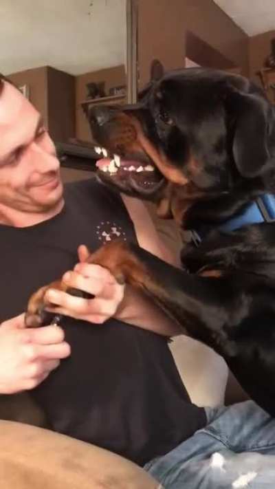 Ele n&atilde;o gosta muito de corta a unha MonkaS