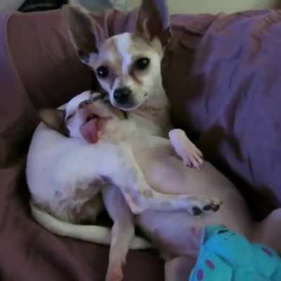 I got you buddy just sleep it off