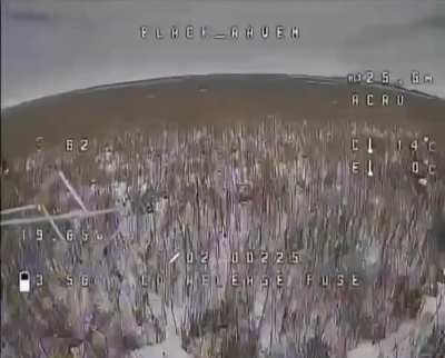 RU POV: Roe deer attempts to headbutt a low flying FPV drone, fortunately it missed and UAV kept flying.