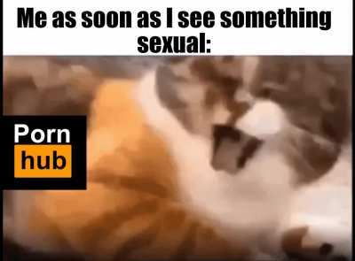 No horny BONK