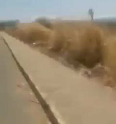 O tio, vacilo