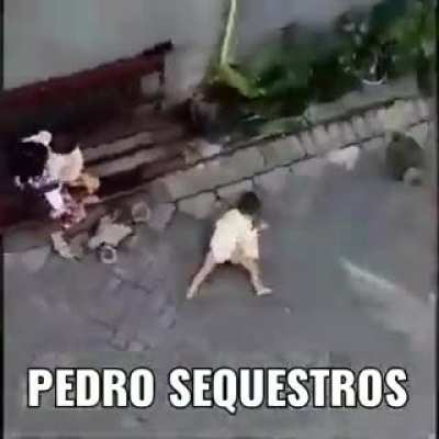 Pedro...