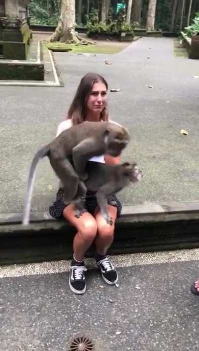 🐒👈mamaco
