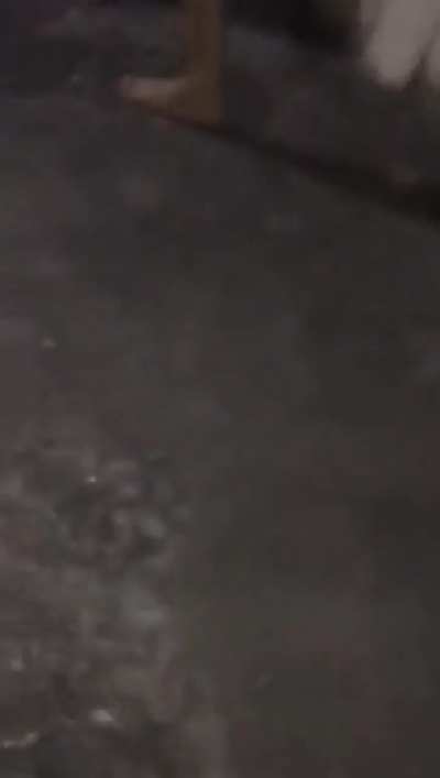 rare footage of Amber Heard