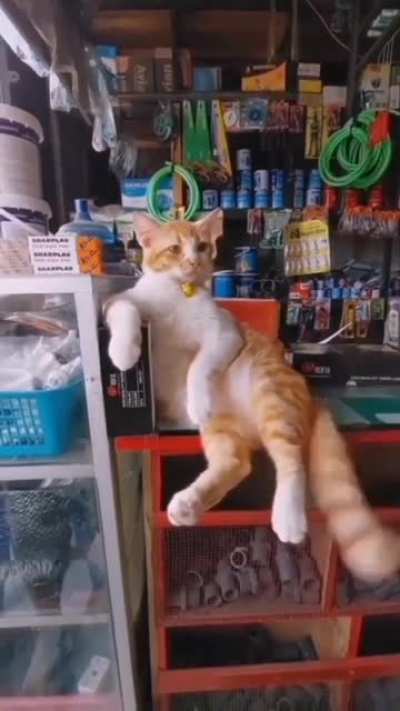Shopkeeper!
