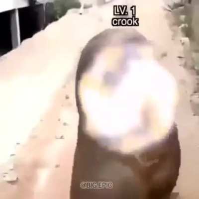 Level 30 Real