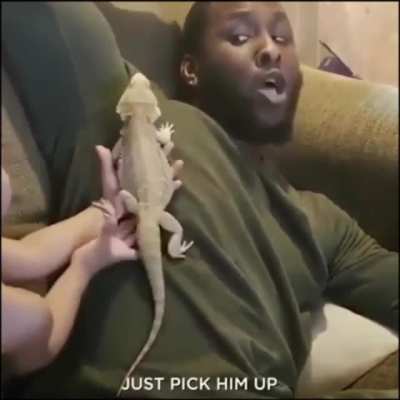 Pick him up!!!!