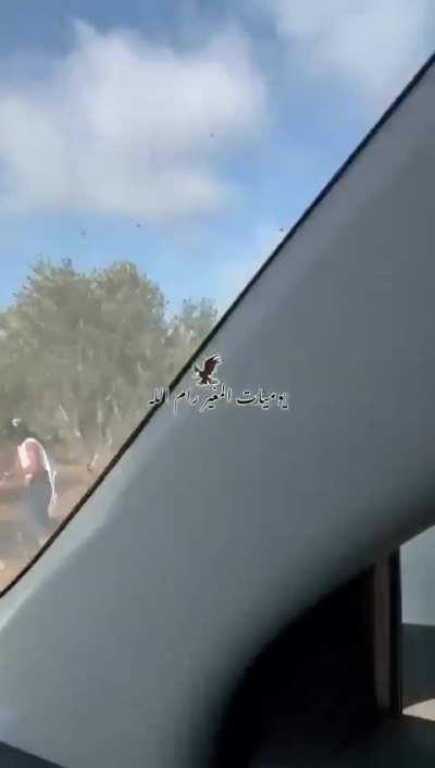 Jewish terrorist attacks an elderly palestinian woman while she was harvesting olives