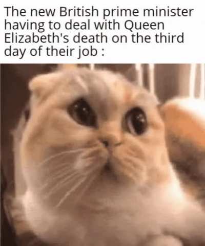 It truly is a big coincidence